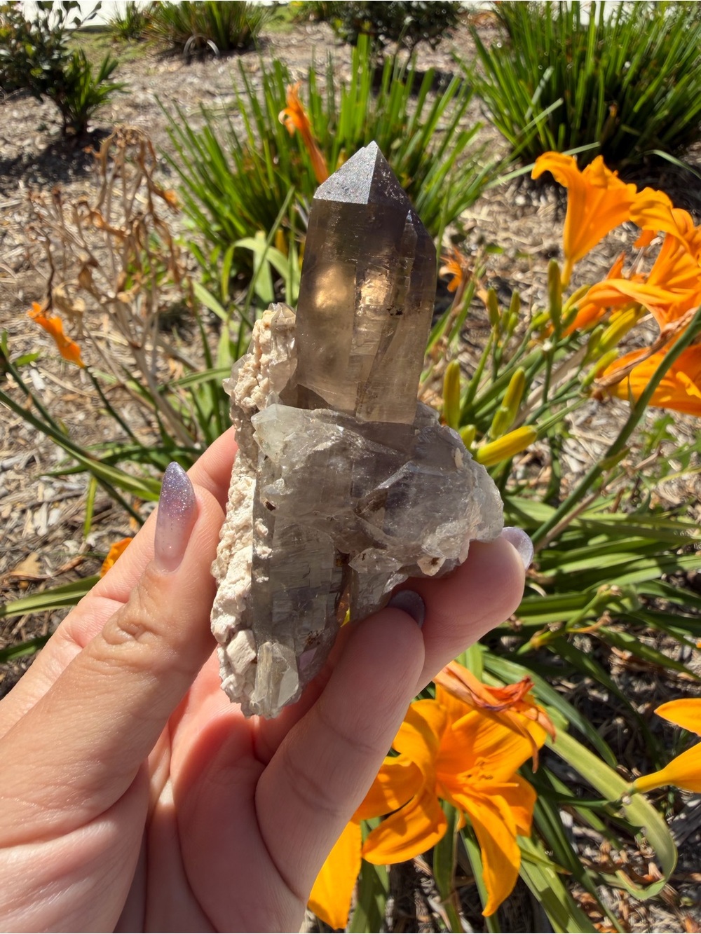 Natural Smoky Quartz Cluster,Smoky Quartz Point Mineral Specime,A568